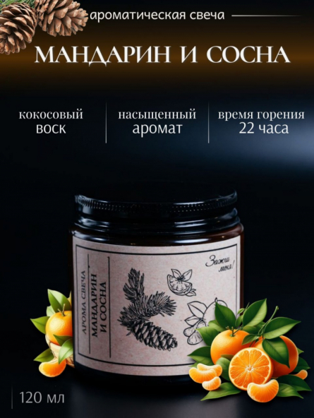Мандарин и Сосна