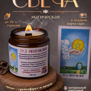 Таро Туз пентаклей